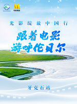 91精品在线观看视频