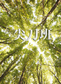 久久精品2