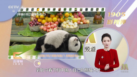 午夜黄色网